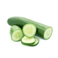 Cucumber (x12) Dutch