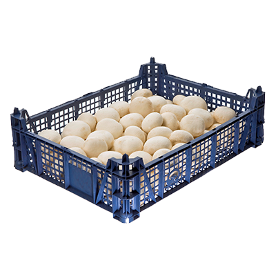 Mushrooms (3lbs) (1.36kg)